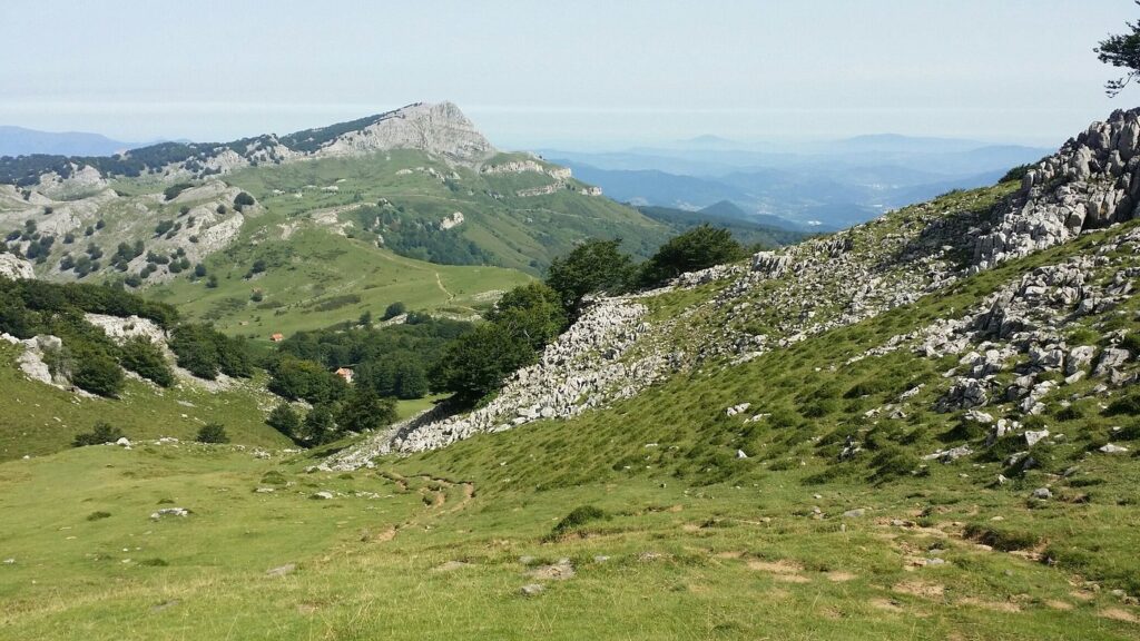 gorbea view