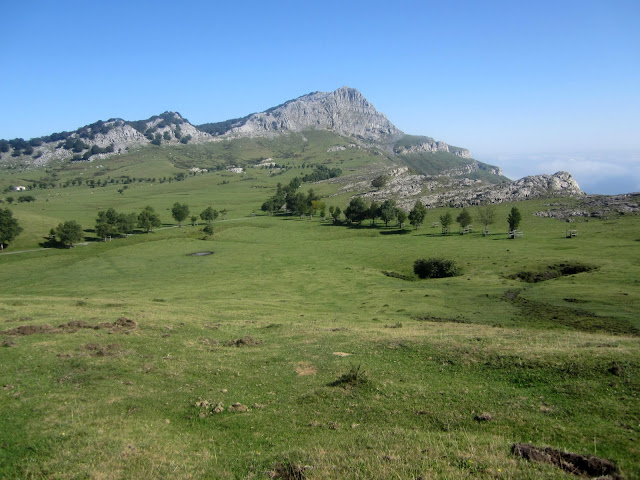 campas de arraba 3