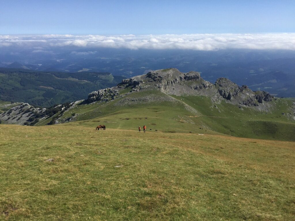 gorbea views